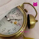 18.webp