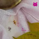 26.webp
