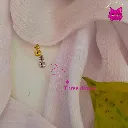 21.webp