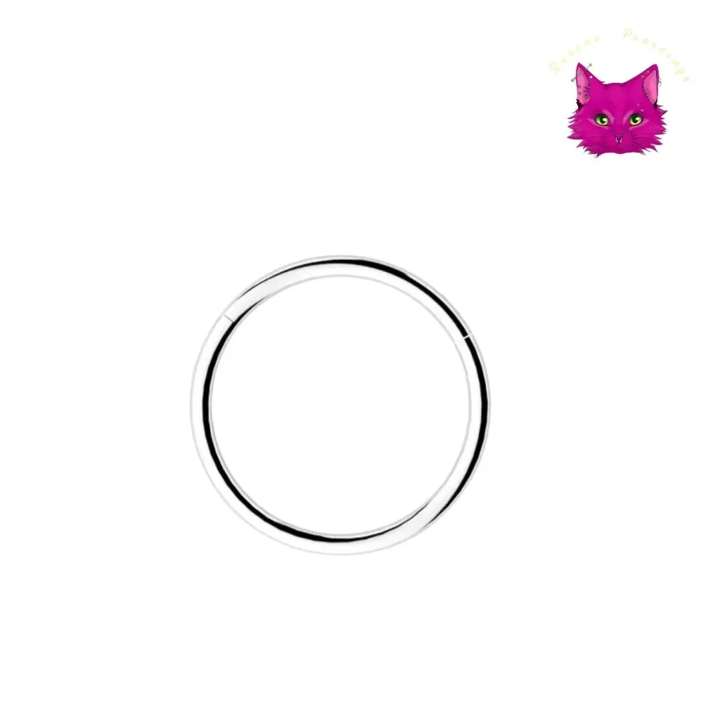 [PJ-CH--SS-S-16-6-A-2] Plain Clicker Hoops (6 mm, Silver)